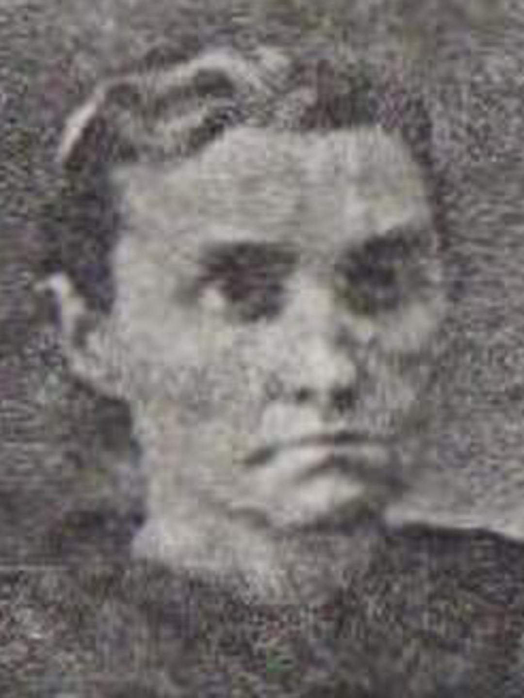 Nancy Maria Whitlock (1841 - 1882) Profile